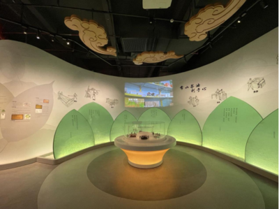 &ldquo;兩柚一茶&rdquo;深加工,常山大力培育共同富裕的特色優勢產業