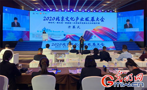 2020北京文化產(chǎn)業(yè)發(fā)展大會(huì)舉辦 謀篇布局 新藍(lán)海